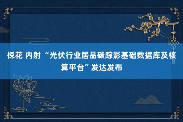 探花 内射 “光伏行业居品碳踪影基础数据库及核算平台”发达发布