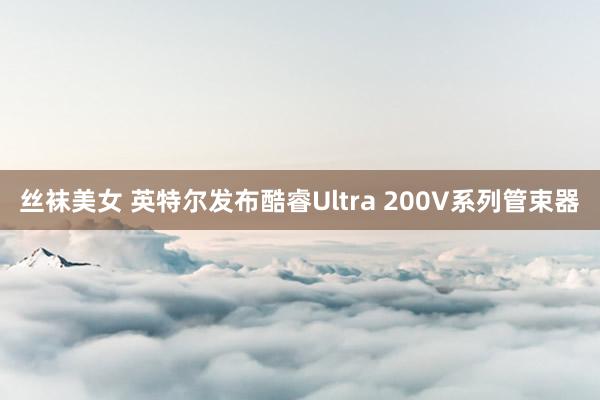 丝袜美女 英特尔发布酷睿Ultra 200V系列管束器