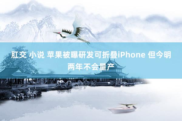 肛交 小说 苹果被曝研发可折叠iPhone 但今明两年不会量产