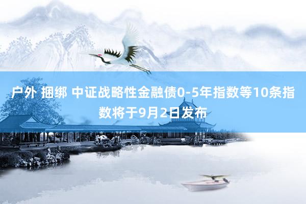 户外 捆绑 中证战略性金融债0-5年指数等10条指数将于9月2日发布