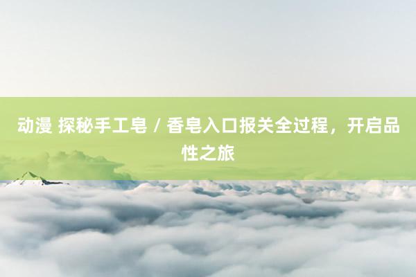 动漫 探秘手工皂 / 香皂入口报关全过程，开启品性之旅