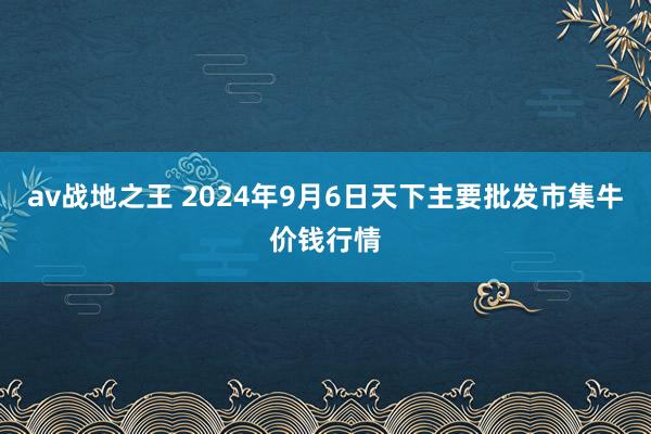 av战地之王 2024年9月6日天下主要批发市集牛价钱行情