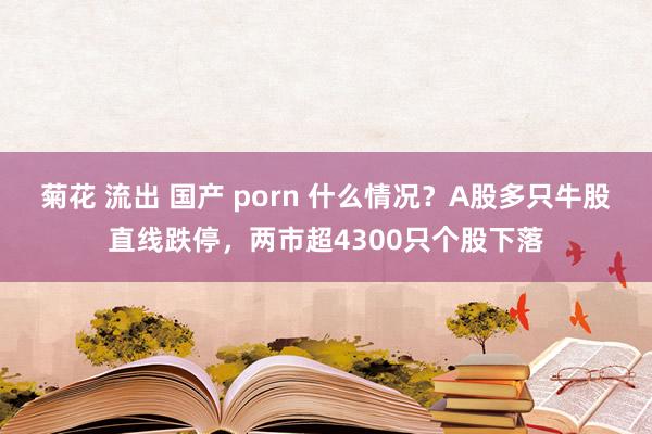 菊花 流出 国产 porn 什么情况？A股多只牛股直线跌停，两市超4300只个股下落