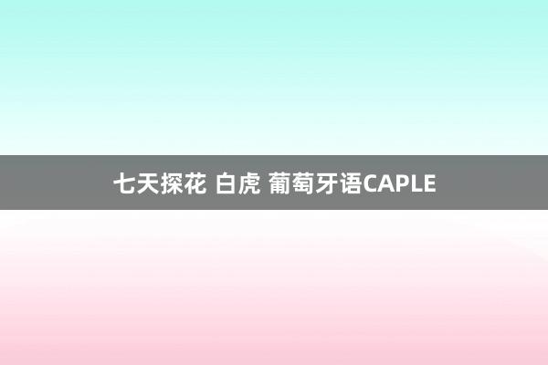 七天探花 白虎 葡萄牙语CAPLE