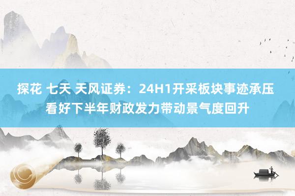 探花 七天 天风证券：24H1开采板块事迹承压 看好下半年财政发力带动景气度回升