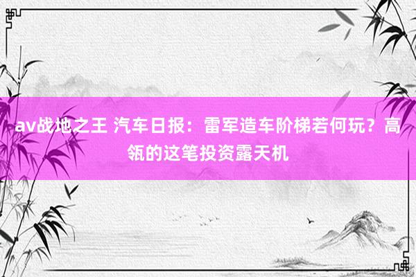 av战地之王 汽车日报：雷军造车阶梯若何玩？高瓴的这笔投资露天机