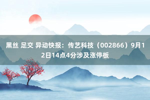 黑丝 足交 异动快报：传艺科技（002866）9月12日14点4分涉及涨停板