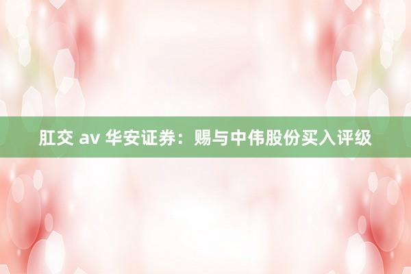 肛交 av 华安证券：赐与中伟股份买入评级