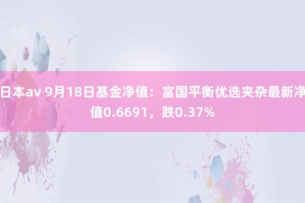 日本av 9月18日基金净值：富国平衡优选夹杂最新净值0.6691，跌0.37%