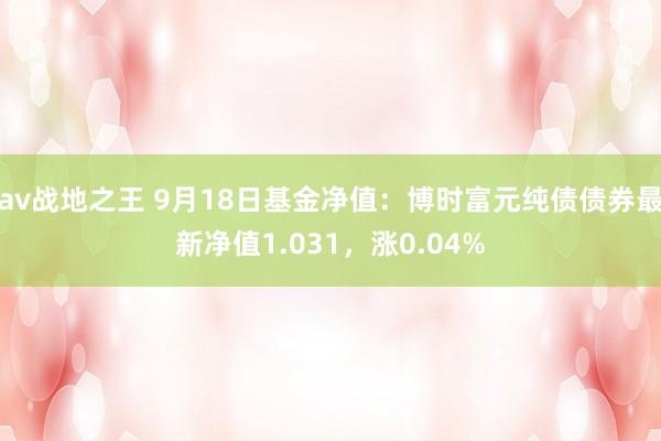 av战地之王 9月18日基金净值：博时富元纯债债券最新净值1.031，涨0.04%