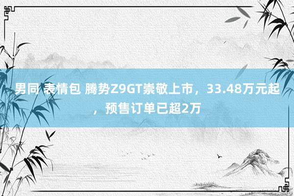 男同 表情包 腾势Z9GT崇敬上市，33.48万元起，预售订单已超2万