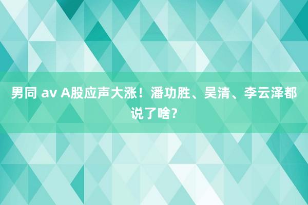 男同 av A股应声大涨！潘功胜、吴清、李云泽都说了啥？