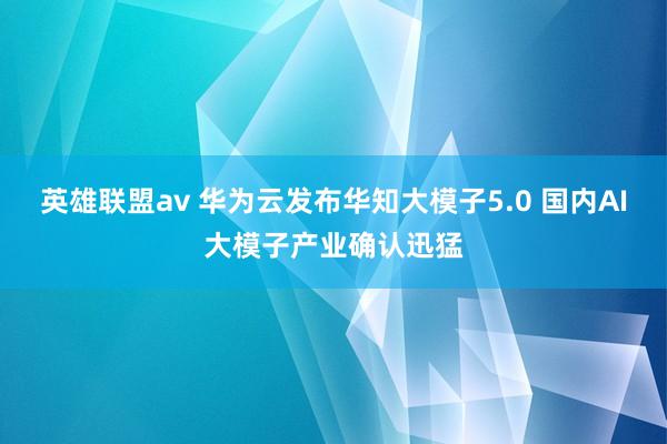 英雄联盟av 华为云发布华知大模子5.0 国内AI大模子产业确认迅猛