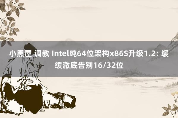 小黑屋 调教 Intel纯64位架构x86S升级1.2: 缓缓澈底告别16/32位