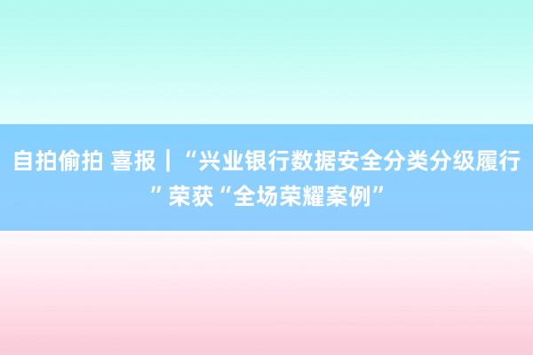 自拍偷拍 喜报｜“兴业银行数据安全分类分级履行”荣获“全场荣耀案例”