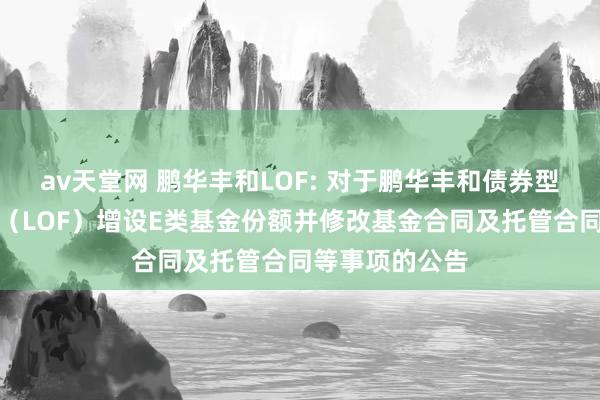 av天堂网 鹏华丰和LOF: 对于鹏华丰和债券型证券投资基金（LOF）增设E类基金份额并修改基金合同及托管合同等事项的公告