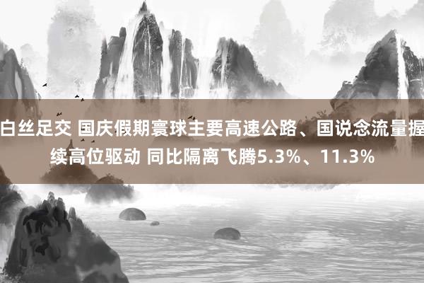 白丝足交 国庆假期寰球主要高速公路、国说念流量握续高位驱动 同比隔离飞腾5.3%、11.3%