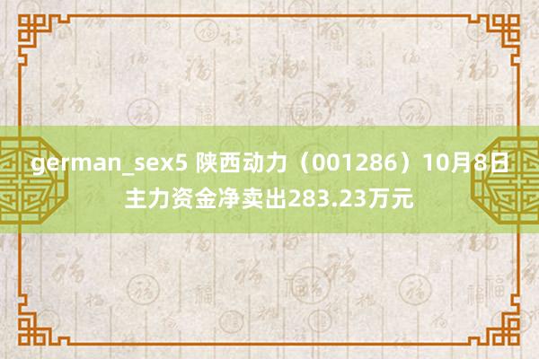 german_sex5 陕西动力（001286）10月8日主力资金净卖出283.23万元