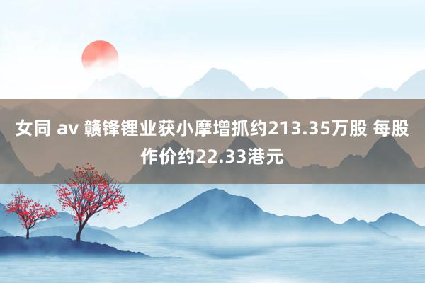 女同 av 赣锋锂业获小摩增抓约213.35万股 每股作价约22.33港元