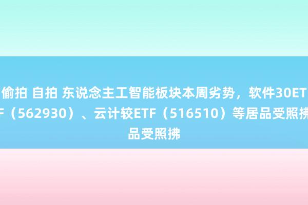 偷拍 自拍 东说念主工智能板块本周劣势，软件30ETF（562930）、云计较ETF（516510）等居品受照拂