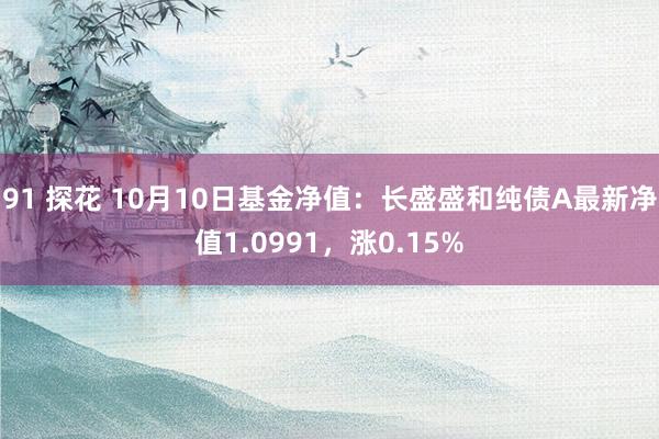 91 探花 10月10日基金净值：长盛盛和纯债A最新净值1.0991，涨0.15%