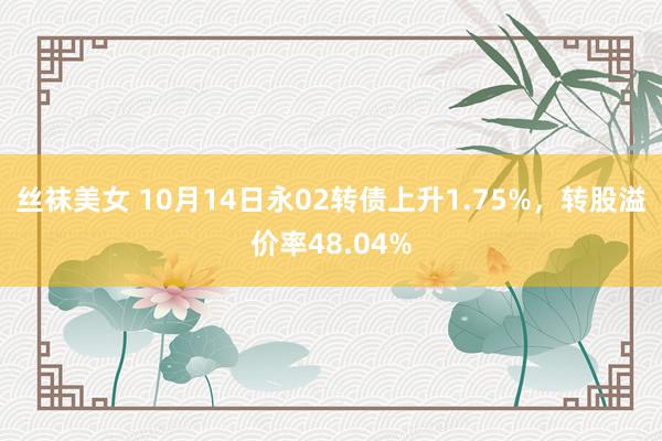 丝袜美女 10月14日永02转债上升1.75%，转股溢价率48.04%