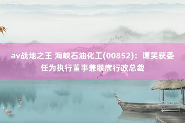 av战地之王 海峡石油化工(00852)：谭笑获委任为执行董事兼联席行政总裁