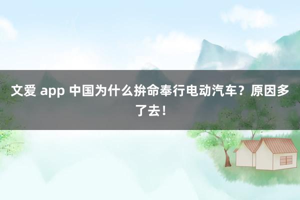 文爱 app 中国为什么拚命奉行电动汽车？原因多了去！