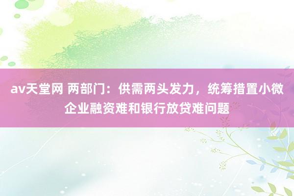 av天堂网 两部门：供需两头发力，统筹措置小微企业融资难和银行放贷难问题