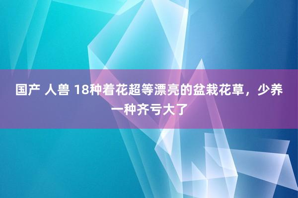 国产 人兽 18种着花超等漂亮的盆栽花草，少养一种齐亏大了