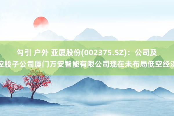 勾引 户外 亚厦股份(002375.SZ)：公司及控股子公司厦门万安智能有限公司现在未布局低空经济