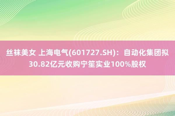 丝袜美女 上海电气(601727.SH)：自动化集团拟30.82亿元收购宁笙实业100%股权