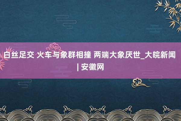 白丝足交 火车与象群相撞 两端大象厌世_大皖新闻 | 安徽网