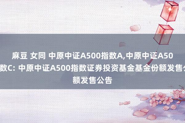 麻豆 女同 中原中证A500指数A，中原中证A500指数C: 中原中证A500指数证券投资基金基金份额发售公告