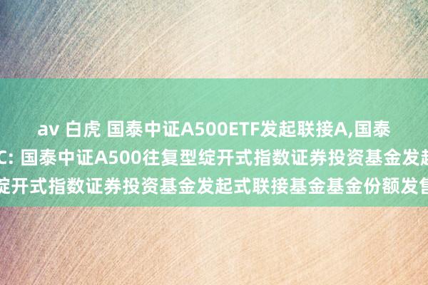 av 白虎 国泰中证A500ETF发起联接A，国泰中证A500ETF发起联接C: 国泰中证A500往复型绽开式指数证券投资基金发起式联接基金基金份额发售公告