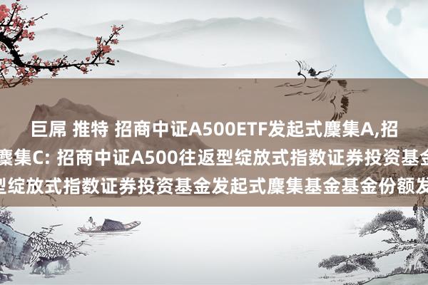 巨屌 推特 招商中证A500ETF发起式麇集A,招商中证A500ETF发起式麇集C: 招商中证A500往返型绽放式指数证券投资基金发起式麇集基金基金份额发售公告