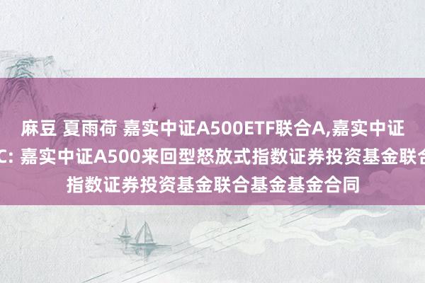 麻豆 夏雨荷 嘉实中证A500ETF联合A，嘉实中证A500ETF联合C: 嘉实中证A500来回型怒放式指数证券投资基金联合基金基金合同