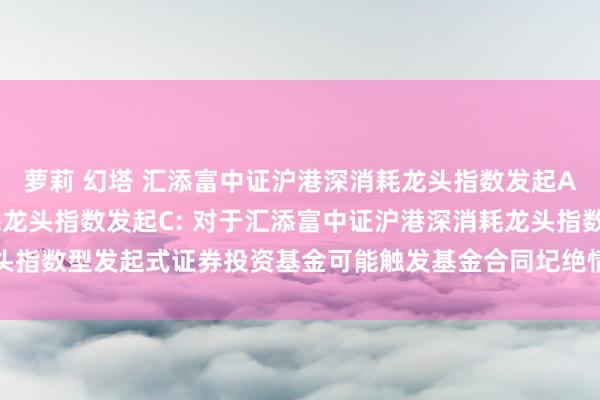 萝莉 幻塔 汇添富中证沪港深消耗龙头指数发起A，汇添富中证沪港深消耗龙头指数发起C: 对于汇添富中证沪港深消耗龙头指数型发起式证券投资基金可能触发基金合同圮绝情形的第三次领导性公告