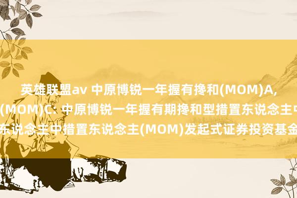 英雄联盟av 中原博锐一年握有搀和(MOM)A,中原博锐一年握有搀和(MOM)C: 中原博锐一年握有期搀和型措置东说念主中措置东说念主(MOM)发起式证券投资基金剩余财产分派公告