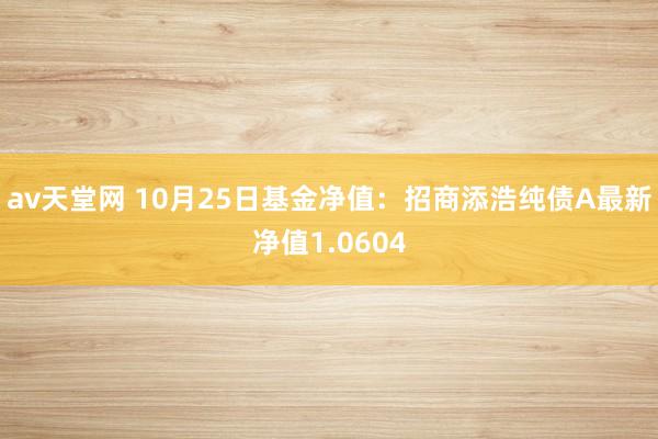 av天堂网 10月25日基金净值：招商添浩纯债A最新净值1.0604