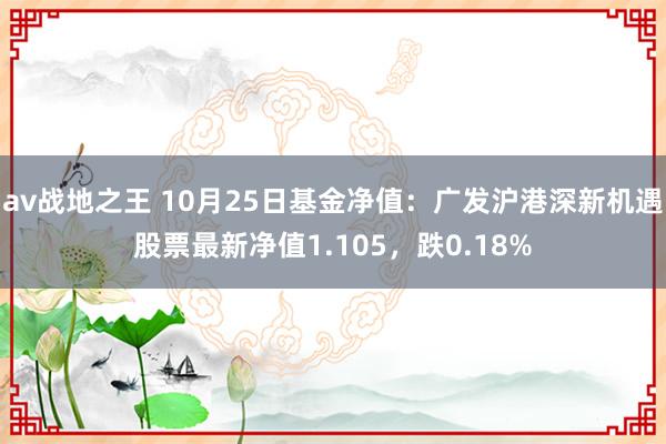 av战地之王 10月25日基金净值：广发沪港深新机遇股票最新净值1.105，跌0.18%