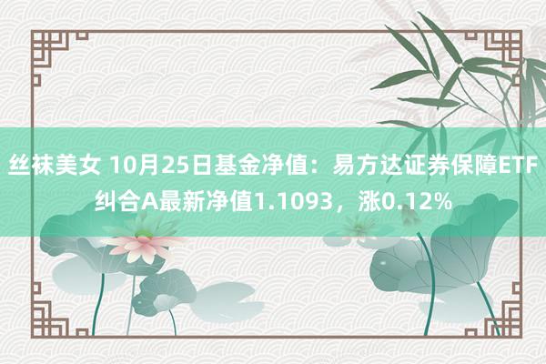 丝袜美女 10月25日基金净值：易方达证券保障ETF纠合A最新净值1.1093，涨0.12%