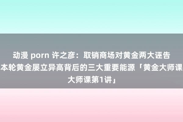 动漫 porn 许之彦：取销商场对黄金两大诬告，看清本轮黄金屡立异高背后的三大重要能源「黄金大师课第1讲」