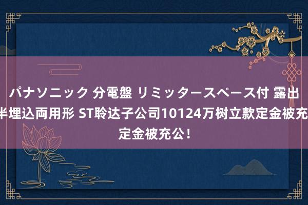 パナソニック 分電盤 リミッタースペース付 露出・半埋込両用形 ST聆达子公司10124万树立款定金被充公！