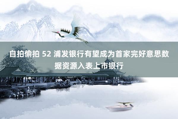 自拍偷拍 52 浦发银行有望成为首家完好意思数据资源入表上市银行