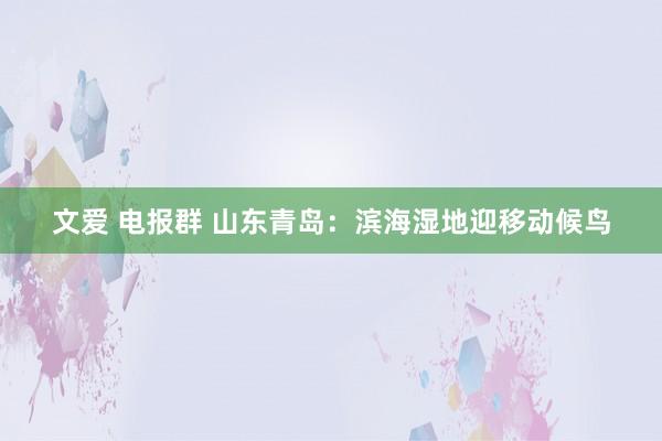 文爱 电报群 山东青岛：滨海湿地迎移动候鸟