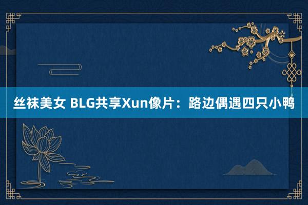 丝袜美女 BLG共享Xun像片：路边偶遇四只小鸭