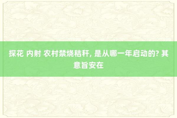 探花 内射 农村禁烧秸秆， 是从哪一年启动的? 其意旨安在