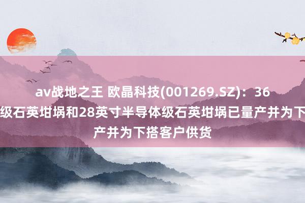 av战地之王 欧晶科技(001269.SZ)：36英寸太阳能级石英坩埚和28英寸半导体级石英坩埚已量产并为下搭客户供货