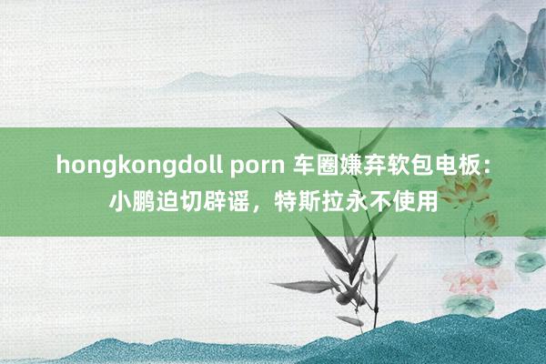 hongkongdoll porn 车圈嫌弃软包电板：小鹏迫切辟谣，特斯拉永不使用